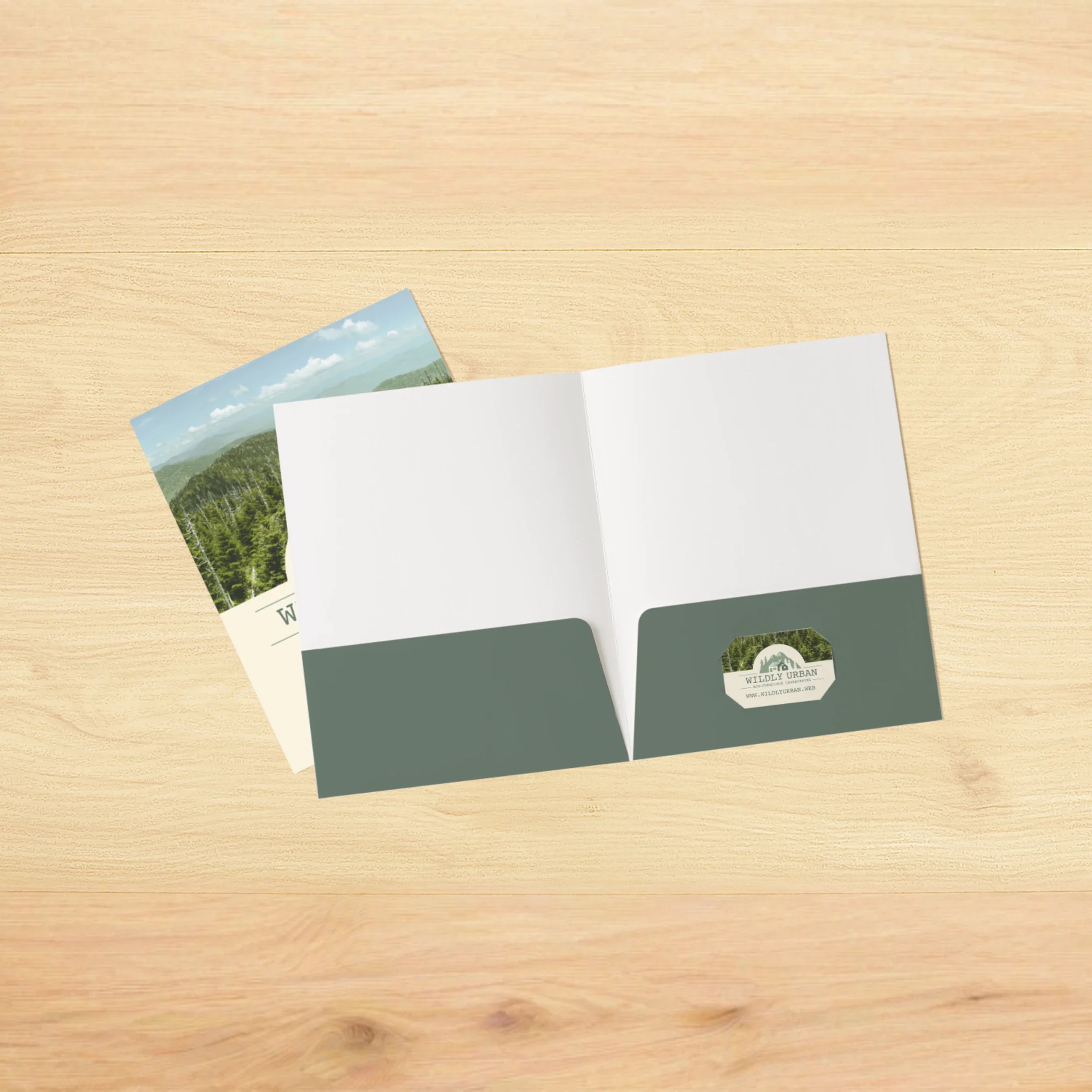 Company Profile & Presentation Designing