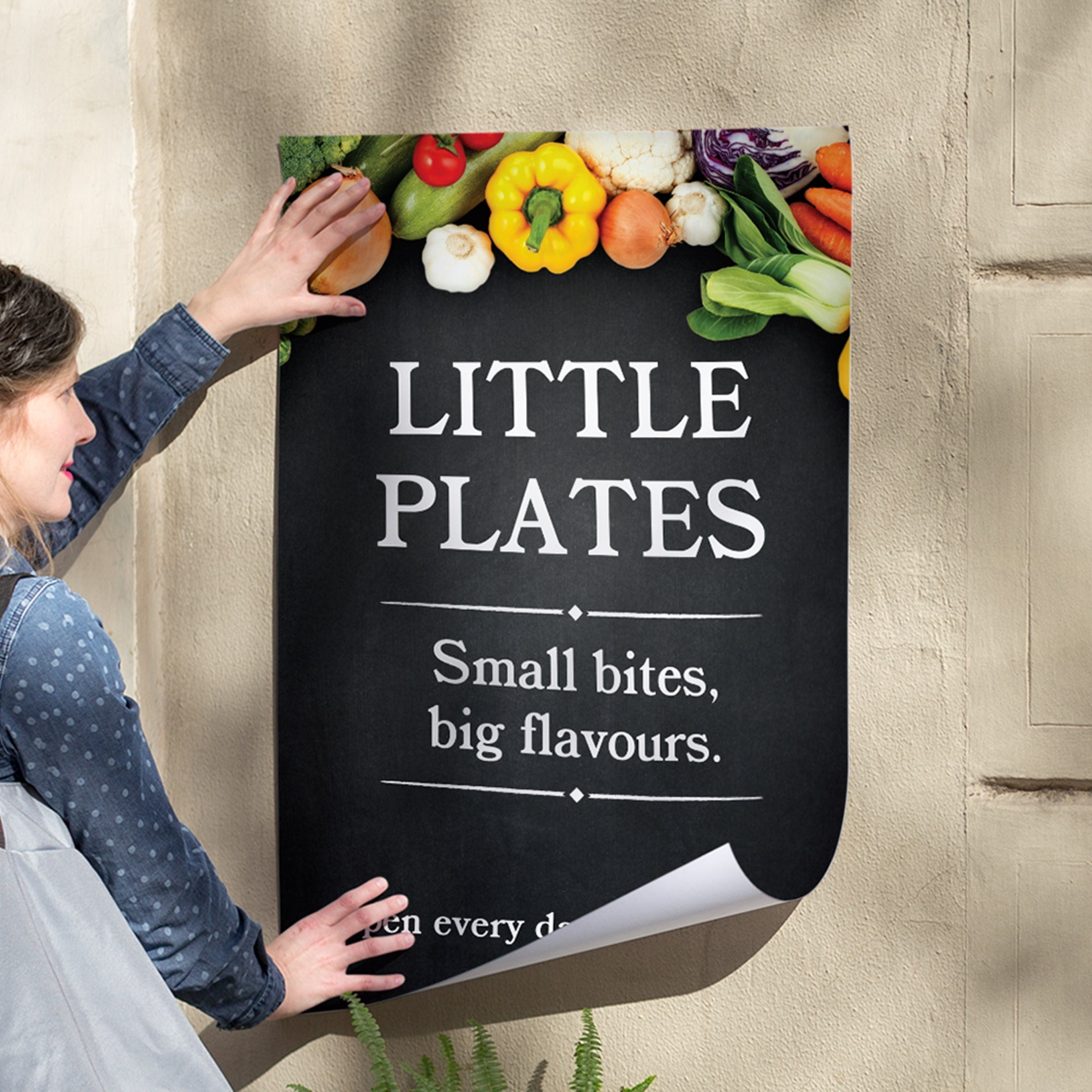 Signs, Posters and Marketing Materials Designing